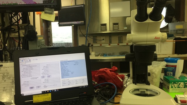 CUFES computer and microscope